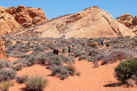 Hikers near the trailhead of the Fire Canyon Overlook Trail at Valley of Fire State Park near