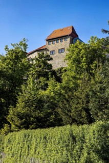 A historic castle rises above a dense forest landscape with a clear sky, Creuzburg Castle in