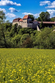 Majestic castle above a rapeseed field, surrounded by green nature under a blue sky, Creuzburg
