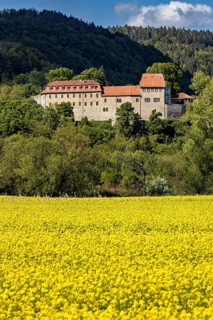 Castle above a blossoming rapeseed field in an idyllic rural setting, Creuzburg Castle in Thuringia