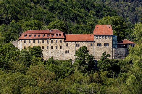 An impressive castle surrounded by dense forest and trees under a clear blue sky, Creuzburg Castle
