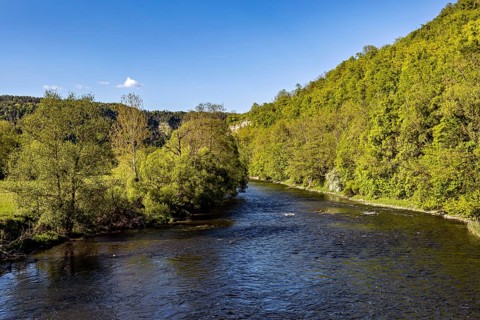 River in a green forest landscape under a clear blue sky, view from the historic Werra bridge over