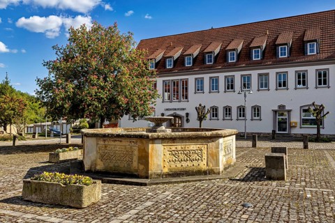 Fountain on a cobbled square in front of a historic building with a red roof and flowering tree,