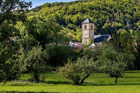 Three large trees in a meadow, in the background the steeple of a village, The steeple of the