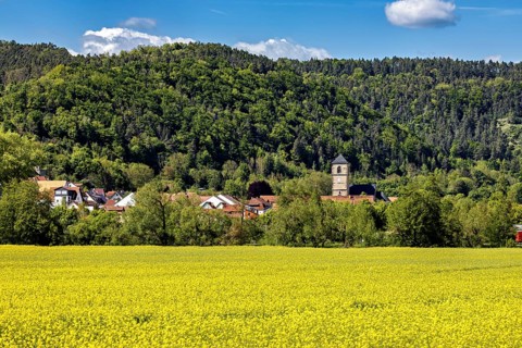 Wide yellow fields in front of a village with a church tower, surrounded by forests and hills, The