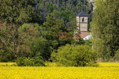 A village is dominated by a church tower, in the foreground a large yellow field, The church tower
