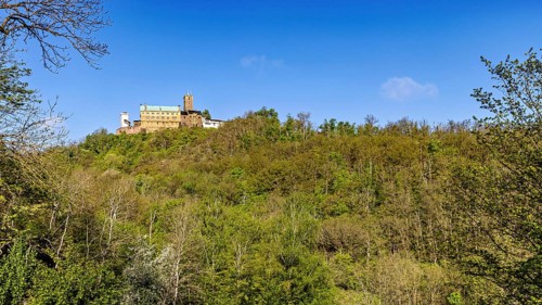 Wide view over wooded hill with castle in the background, The Wartburg near Eisenach in Thuringia