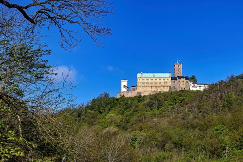 Castle enthroned on a wooded hill under a bright blue sky, Wartburg Castle near Eisenach in