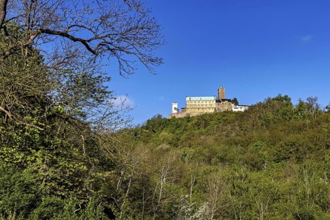 Castle overlooking dense forest, surrounded by blue sky, Wartburg Castle near Eisenach in Thuringia