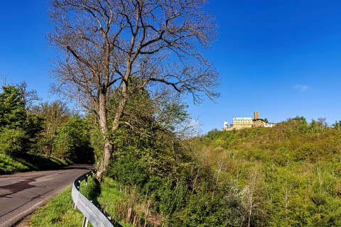 Castle in the distance, next to a winding road, surrounded by trees, The Wartburg near Eisenach in