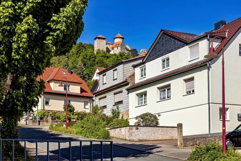 Rural houses on the roadside with a historic castle on the hill in the background, Normannstein
