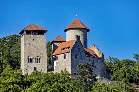 A medieval castle with two towers against a clear blue sky and surrounded by green trees,