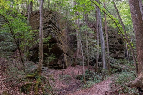 Trees growing between rock formations along a hiking trail through Dismals Canyon near Phil