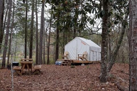 Tentrr glamping tent on a raised platform with a wooden porch at Clarko State Park near Quitman,