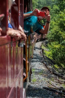 Man leaning out of the window of an open air train car of the Great Smoky Mountains Railroad to