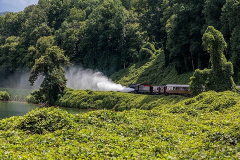 Great Smoky Mountains Railroad steam engine 1702 pushing the train from behind in reverse during an