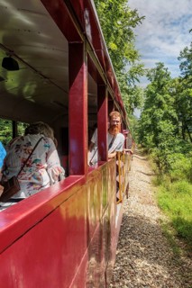 Young man leaning out the window of the open air car on the Great Smoky Moutains Railroad during an
