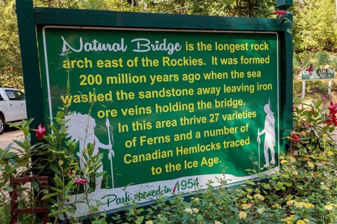 Sign at Natural Bridge Park describes the geology and natural vegetation within the park located