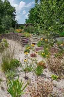 Perennial bed with drought-resistant plants, district educational garden, Burgsteinfurt, Steinfurt,