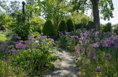 District educational garden, Burgsteinfurt, Münsterland, North Rhine-Westphalia, Germany