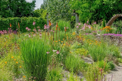 Perennial bed in summer, Burgsteinfurt district educational garden, Münsterland, North