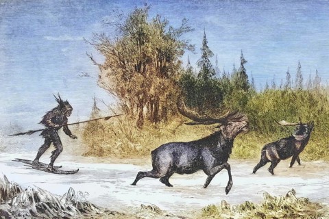 Moose hunt in the Northwest Territory in the 1870s, America, digital reproduction from American