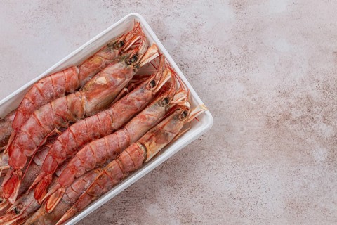 Fresh frozen Argentine shrimp, laid out in a container, top view, no people