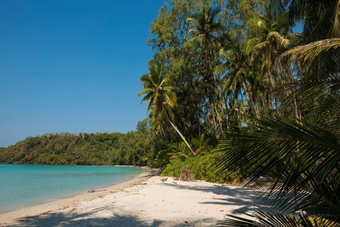 Sandy beach beach with coconut palms, We Ao Jark Beach, Koh Kood, Koh Kut, Gulf of Thailand,