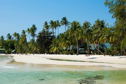 Sandy beach beach with coconut palms, Haad Khlong Hin Beach, Koh Kood, Koh Kut, Gulf of Thailand,