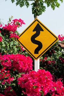 Traffic sign and bougainvillea, Ao Phrao Beach, sunset, Koh Kood, Koh Kut, Gulf of Thailand,