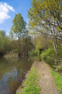 Newly created lake, flooded path, Ostholz nature reserve, Wickede, Dortmund, Ruhr area, Westphalia,