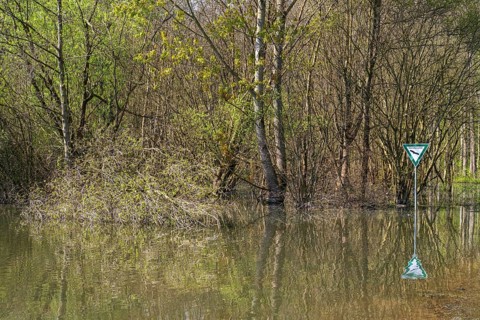Newly created lake, Ostholz nature reserve, Wickede, Dortmund, Ruhr area, Westphalia, North