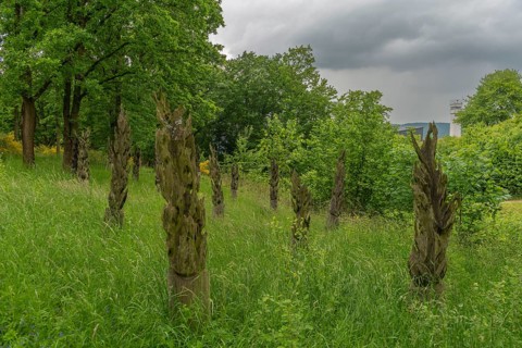 Schifflersgrund border museum memorial on the former border between the FRG and the GDR, Burnt
