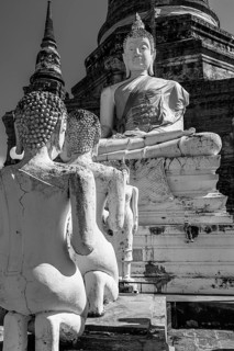 Stone Buddha statues, historic Buddhist temple complex, black and white photo, Ayutthaya, Thailand