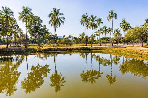 Palm trees reflected in a pond, historical park, Sukhothai, Sukhothai province, Thailand
