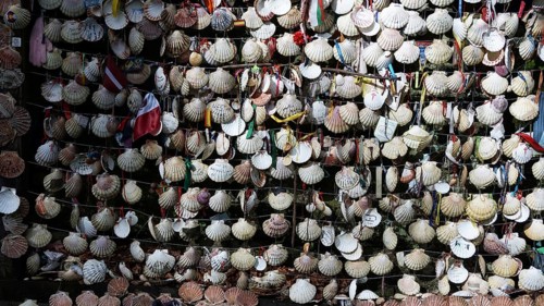 A multitude of scallop shells (pecten maximus) hung in a net, symbolising the pilgrimage,