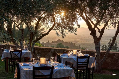 Several tables set under olive trees at sunset with wonderful views, Hotel Europa, garden