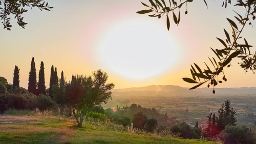 Atmospheric panorama with sunset light over a vast landscape and olive branches in the foreground,
