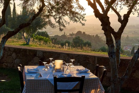 Table set under olive trees with a view of a picturesque landscape at sunset, Hotel Europa, garden