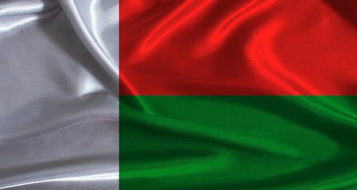 Madagascar flag with cloth textured background. National flag of Madagascar with realistic texture