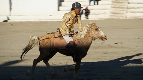 Single rider on horseback playing polo in traditional clothing on a horse moving, trekking in