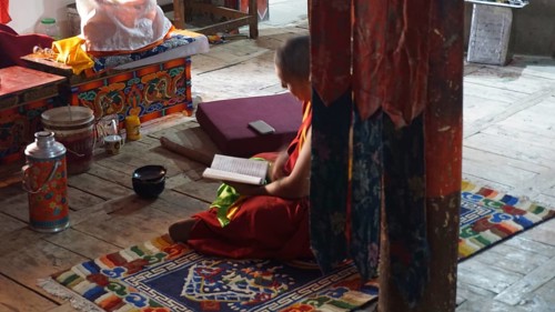 Buddhist monk reading in a colourfully decorated, quiet temple room, trekking in Ladakh, Himalayas,