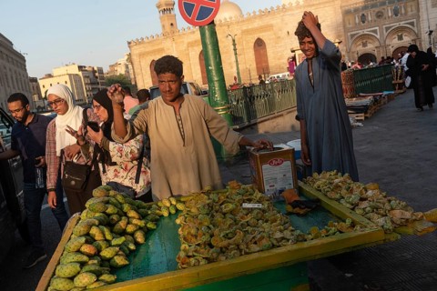 Cairo, Egypt. July 2nd 2024 A market stall holder selling prickly pear cactus fruit in the busy