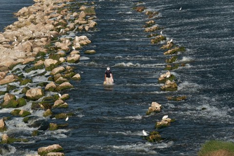 Qanater, Nile Delta. Egypt. December 18th 2022 An Egyptian man wades in the waters beside the El