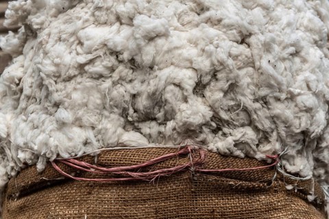 Close up image of a sack of raw Egyptian cotton for sale in a Cairo market, Cotton is a major
