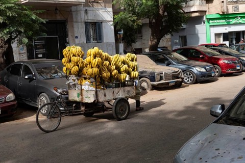 Cairo, Egypt. November 28th 2022 A street stall selling Egyptian bananas, a home grown fruit and