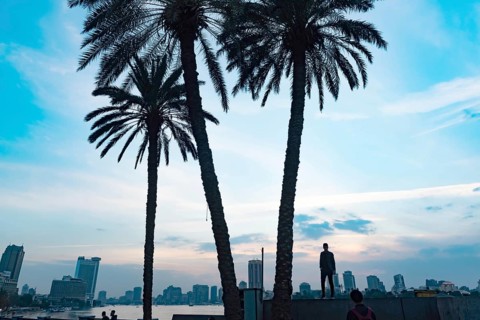 Cairo, Egypt. November 26th 2022 Palm trees silhouetted against a dramatic sky over the Qasr El Nil