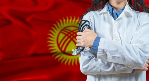 Healthcare professional with Kyrgyzstan flag background. Professional doctor holding stethoscope on