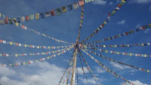 Colourful prayer flags stretch across the blue sky in Leh, Ladakh, North India, Himalayas, India