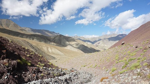Rocky mountain landscape with blue sky and scattered vegetation, trekking at Stok La Pass in